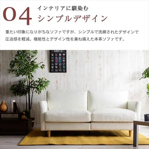 �|�P�b�g�R�C���{�v�\�t�@ 3P PLSF-3 �u���b�N_14