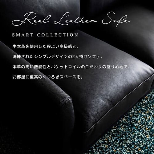 �|�P�b�g�R�C���{�v�\�t�@ 2P PLSF-2 �u���b�N_2