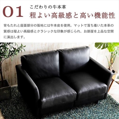 �|�P�b�g�R�C���{�v�\�t�@ 2P PLSF-2 �u���b�N_5