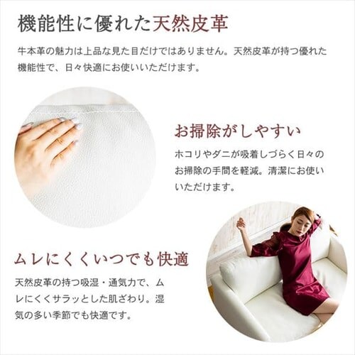 �|�P�b�g�R�C���{�v�\�t�@ 2P PLSF-2 �u���b�N_6