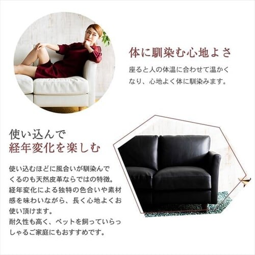 �|�P�b�g�R�C���{�v�\�t�@ 2P PLSF-2 �u���b�N_7