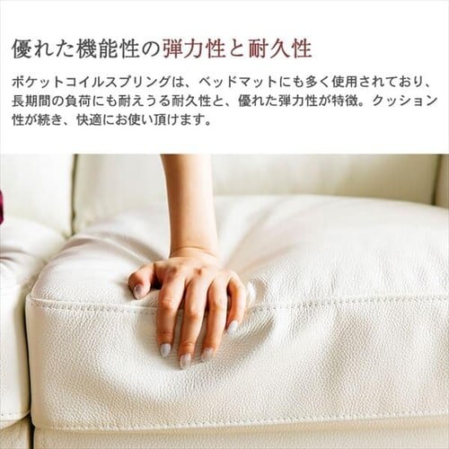 �|�P�b�g�R�C���{�v�\�t�@ 2P PLSF-2 �u���b�N_10