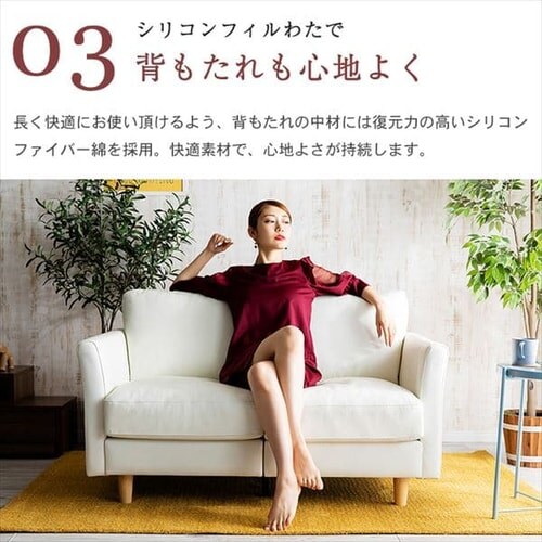 �|�P�b�g�R�C���{�v�\�t�@ 2P PLSF-2 �u���b�N_11