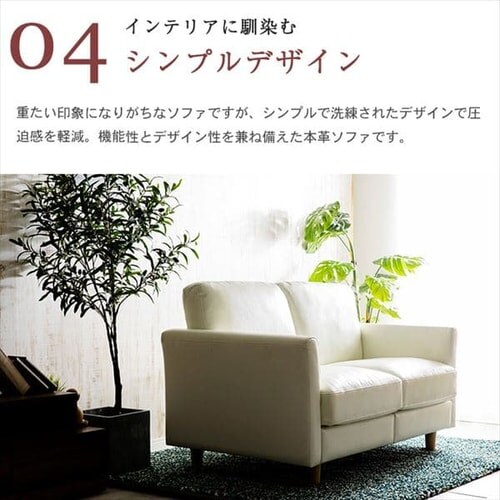 �|�P�b�g�R�C���{�v�\�t�@ 2P PLSF-2 �u���b�N_13