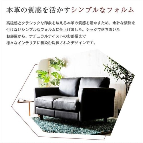 �|�P�b�g�R�C���{�v�\�t�@ 2P PLSF-2 �u���b�N_14