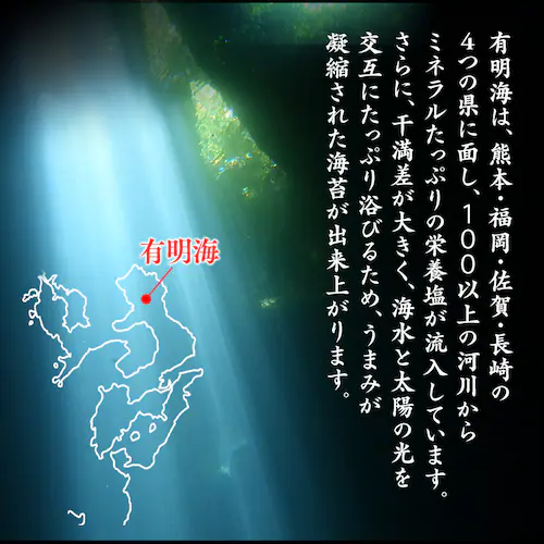 有明海産 焼き海苔 40枚 【代引き不可】_3