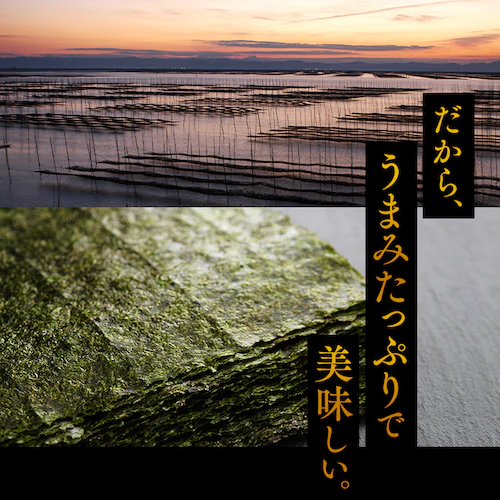 有明海産 焼き海苔 40枚 【代引き不可】_4