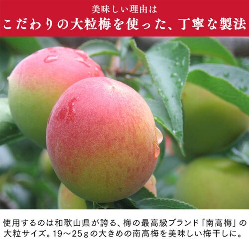 つぶれ梅しそ 塩約7% 800g(400g×2) _4