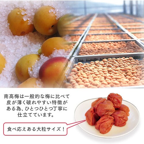 つぶれ梅しそ 塩約7% 800g(400g×2) _5