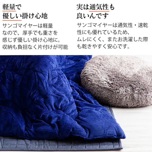 �J�W���A�������{���o�[�V�u�������|�z�c �y�v���U�Z���N�g�z_6