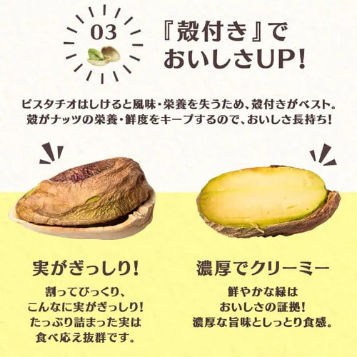 ピスタチオ 有塩 500g _4