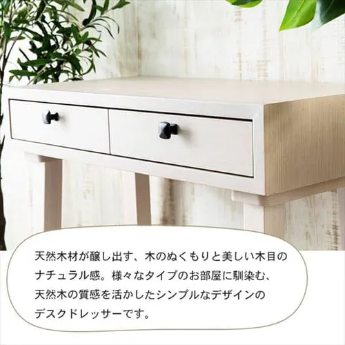 �f�X�N�h���b�T�[ DRS-80 �z���C�g_2