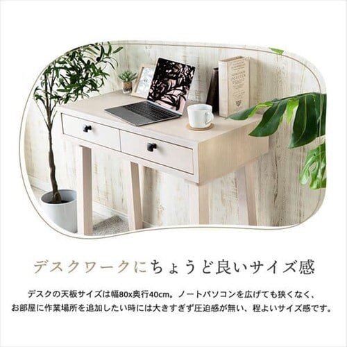 �f�X�N�h���b�T�[ DRS-80 �z���C�g_7