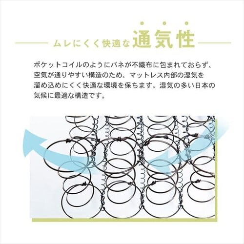 �}�b�g���X �V���O�� �O�܂� �{���l���R�C�� ����17cm TBN-S_9