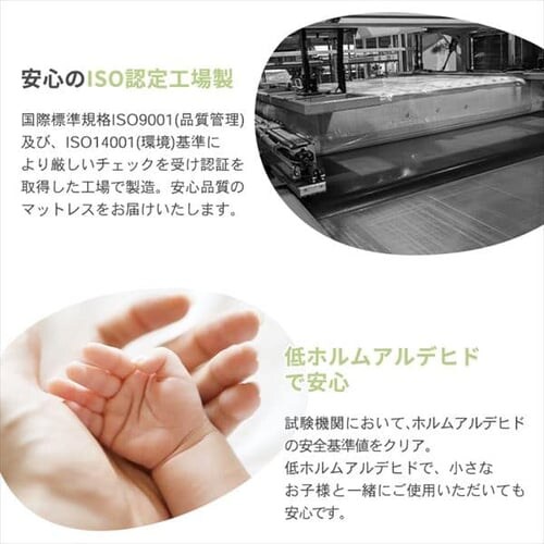 �}�b�g���X �V���O�� �O�܂� �{���l���R�C�� ����17cm TBN-S_16