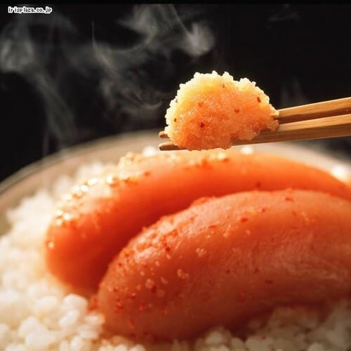 �n�������F�����q�M 360g 31828 �y���Ԏw��s�z�y������s�z_2