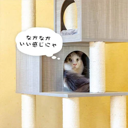 �L���b�g�^���[ �����u�� �i�`������ MCCT�]145 �ؐ� _9