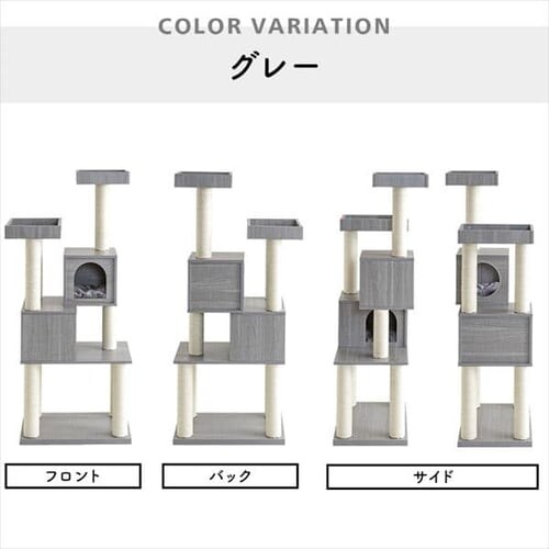 �L���b�g�^���[ �����u�� �i�`������ MCCT�]145 �ؐ� _18