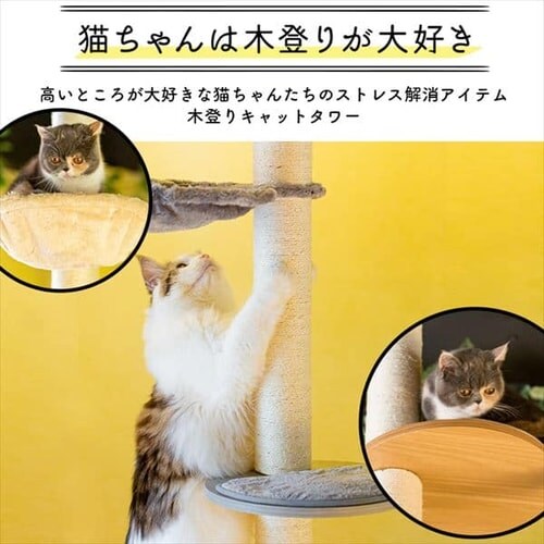 ねこ様オーダー品　木製パーティション　幅45cm 完成品 木彫りの猫 ファミリー 3匹セット hl16003 大中小 かわいい ナチュラル