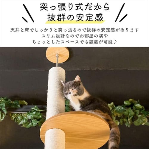 キャットタワー 突っ張り グレー KCCT‐244 7180949 │アイリスオーヤマ