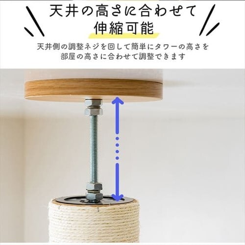 �L���b�g�^���[ �˂����� �i�`������ KCCT�]244 _5