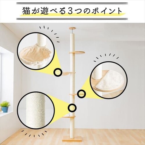 �L���b�g�^���[ �˂����� �i�`������ KCCT�]244 _8