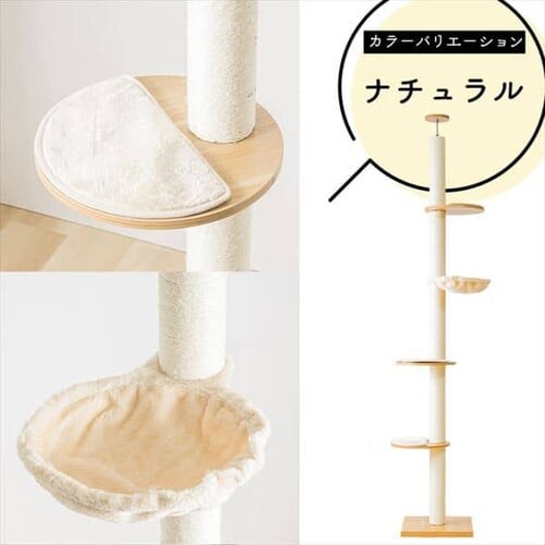 �L���b�g�^���[ �˂����� �i�`������ KCCT�]244 _15