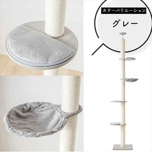 �L���b�g�^���[ �˂����� �i�`������ KCCT�]244 _16