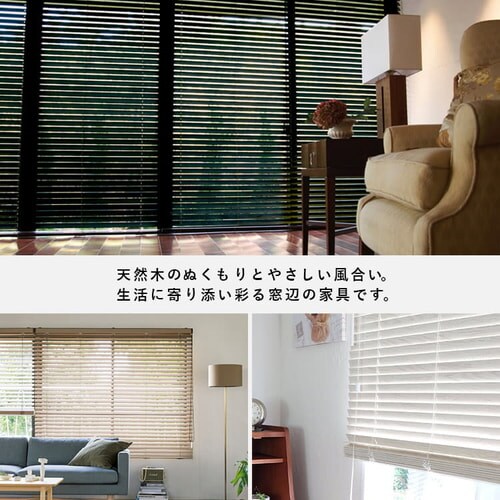 �u���C���h ��180cm�~����100cm �X���b�g��50�o �R�[�h�^�C�v �A���e�B�[�N�u���E��  �y������s�z_12