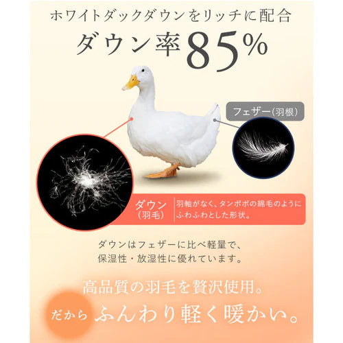 掛け布団 シングル 羽毛 WDD85% ベージュ _11