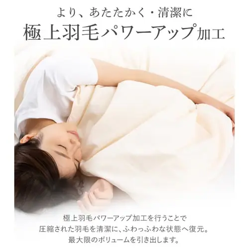 掛け布団 シングル 羽毛 WDD85% ベージュ _13