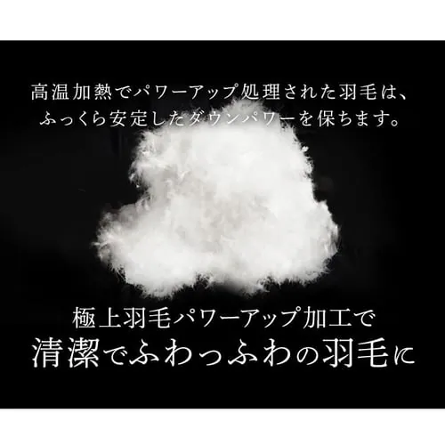掛け布団 シングル 羽毛 WDD85% ベージュ _14