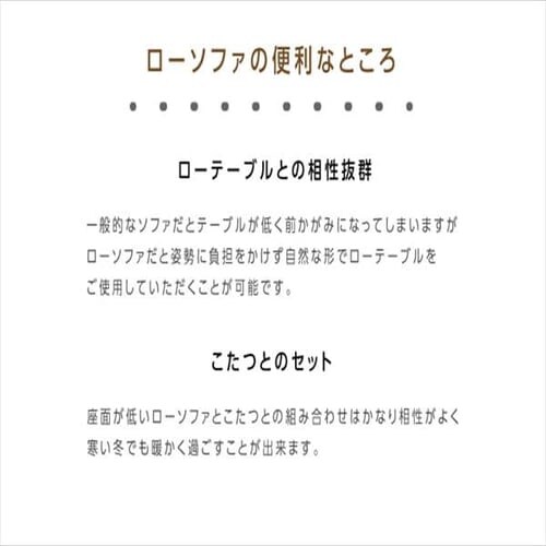 ���[�\�t�@ ���N���C�j���O �������H �A�C�{���[  _13