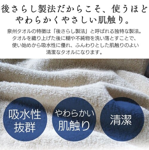 �n���h�^�I�� �u���E�� _4