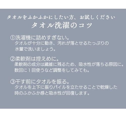 �n���h�^�I�� �u���E�� _13