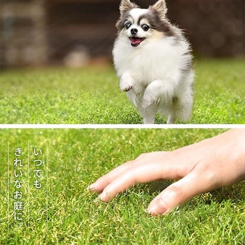 �l�H�� 2m�~5m �ŏ�35mm IP-3525 _15