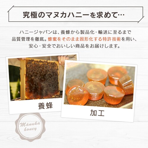 �y���[���ցz�n�j�[�h���b�v���b�g �}�k�J�n�j�[UMF10+�i�̂ǈ��j�y������s�z_16