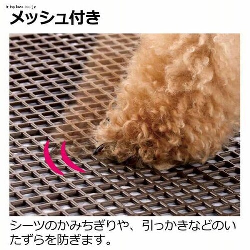 ���b�`�F�� ���|���ȒP�t���b�g�g���[ ���M�����[ �S2�F_6