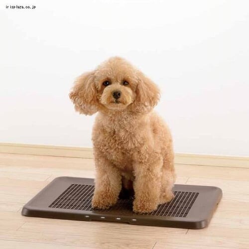 ���b�`�F�� ���|���ȒP�t���b�g�g���[ ���C�h �A�C�{���[ �� �g�C��_2