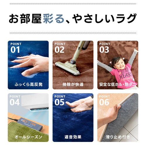 ���O ������ 200�~300cm �l�C�r�[_4