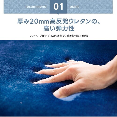 ���O ������ 200�~300cm �l�C�r�[_5