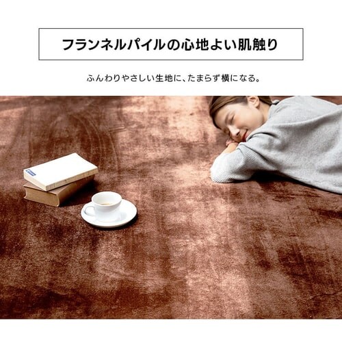 ���O ������ 200�~300cm �l�C�r�[_7