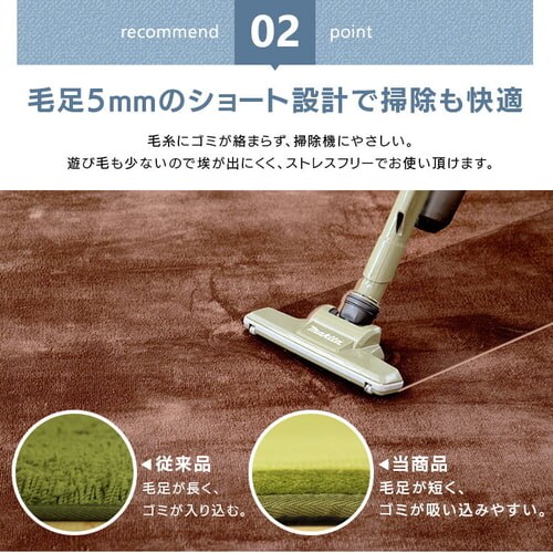 ���O ������ 200�~300cm �l�C�r�[_9