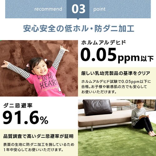 ���O ������ 200�~300cm �l�C�r�[_10