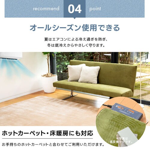 ���O ������ 200�~300cm �l�C�r�[_11