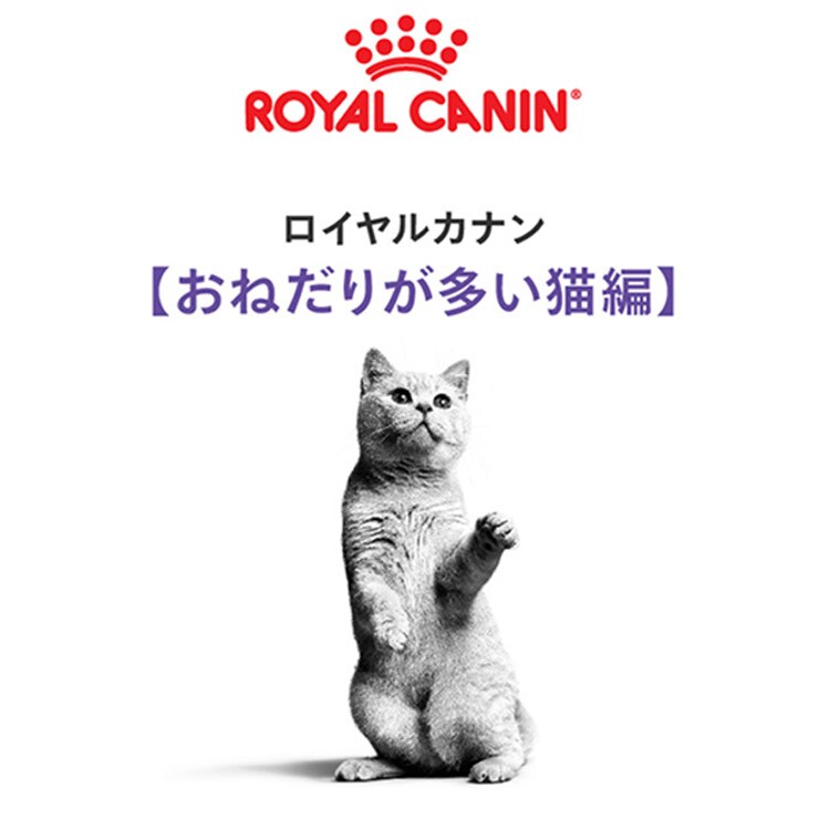 ロイヤルカナン 猫 アペタイト コントロール 400g おねだりの多い成猫