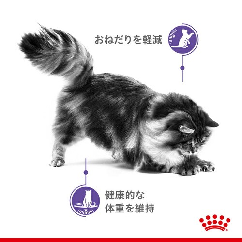 ロイヤルカナン 猫 アペタイト コントロール 2kg おねだりの多い成猫用 FCN(フィーライン ケア ニュートリション)rccf03_3