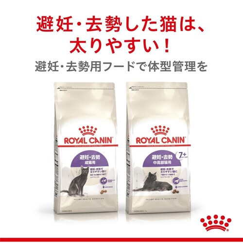 ロイヤルカナン 猫 ステアライズド (7歳以上) 400g FHN(フィーライン ヘルス ニュートリション)rccf52_2