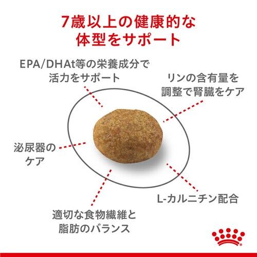 ロイヤルカナン 猫 ステアライズド (7歳以上) 400g FHN(フィーライン ヘルス ニュートリション)rccf52_3