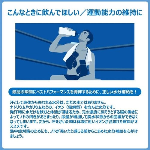 ��ː��� �y24�H�z�|�J���X�G�b�g �[���[ _15